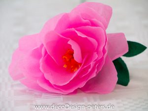 Rose (c) decoDesign-peters.de