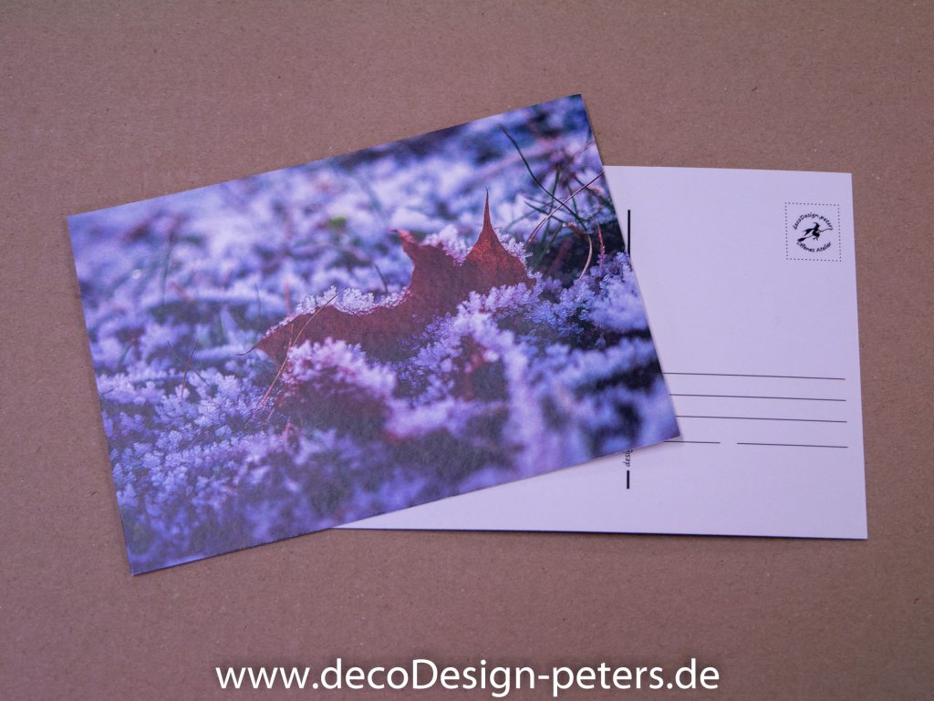 Eingefroren (c)decoDesign-peters.de