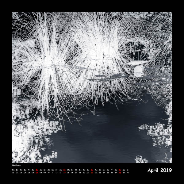 BlackAndWhite 2019 - April (c)decoDesign-peters