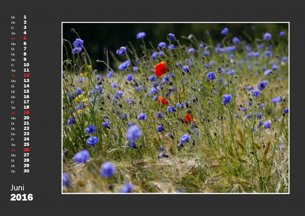 Kalender Auf Streifzug 2016 (c) decoDesign-peters