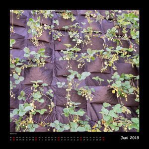 Kalender Quadraturen 2019 - Juni (c)decoDesign-peters